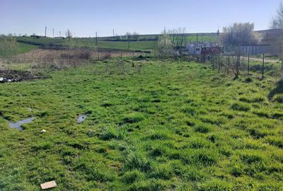 Spațiu comercial, în Suatu - 1