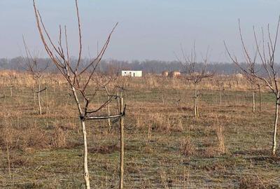 Teren de 749000 mp, în Bucești - 7