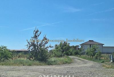 Teren de vanzare in Constanta, Veterani - 500 mp - 3