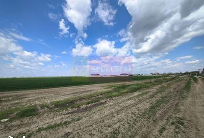 Teren de 12450 mp, în Cernica - 10