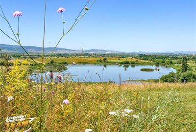 Teren agricol extravilan de 14000 mp, în Periferie - 7
