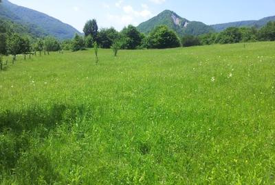 Teren Construcții intravilan de 73000 mp, în Siriu - 5