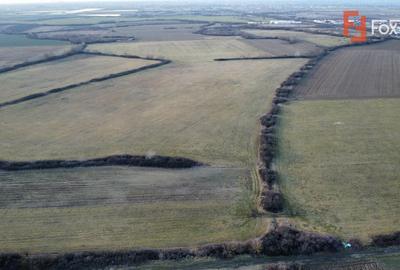 COMISION 0% Parcela Teren industrial cu utilitati, acces TIR - Mosnita - 4