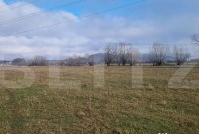 Teren de 500 mp, în Sânpetru - 3