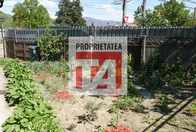 Casă cu 3 camere cu Teren 200 Mp în Central - 10