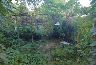 Casă cu 10 camere cu Canalizare în Dacia - 6