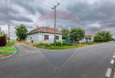 Teren în Variașu Mare - 3