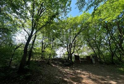 Teren intravilan pentru constructii de vanzare in Grigorescu, Cluj Napoca Teren intravilan pentru constructii de vanzare in Grigorescu, Cluj Napoca - 10