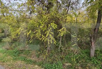 Teren de 1950 mp, în Gorgota - 4