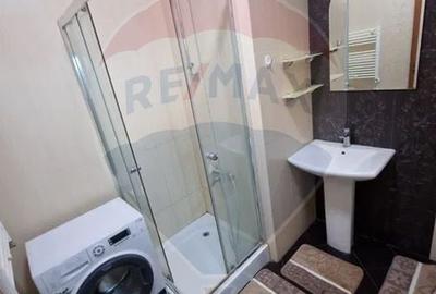 Apartament cu 2 camere Ared Uta - 4