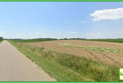 Teren Construcții intravilan de 18000 mp, în Cocorăștii Colț - 2