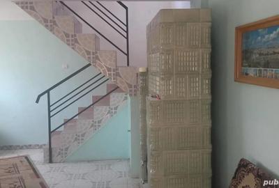 Casă cu Teren 2500 Mp în Central - 3