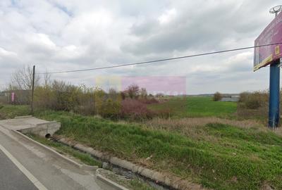 Teren bun aproape de Bucuresti cu deschidere la DN5 - 2