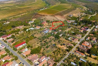 Teren Construcții intravilan de 4184 mp, în Miniș - 10