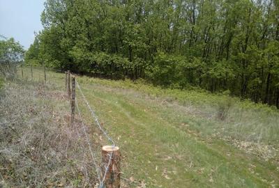 Teren de 50000 mp, în Făgețelu - 4