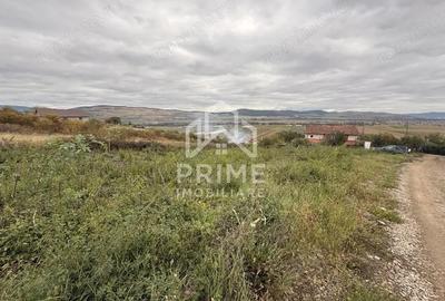 Teren de 1400 mp, în Micești - 1