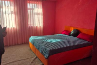 Casă cu Teren 1420 Mp în Beba Veche - 4