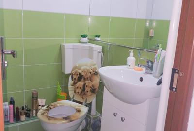 Apartament cu 3 camere decomandat în Drumul Carului - 14