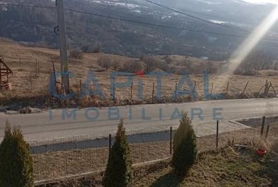 Casa de vanzare in Campulung Muscel, Arges - 5