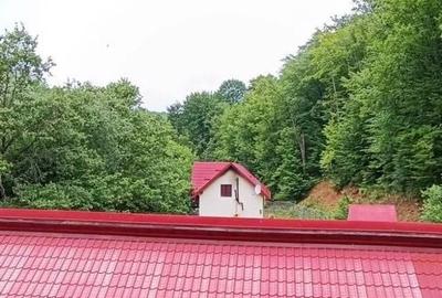 Hotel/Pensiune, de 1,500 mp, în Vâlcele - 21