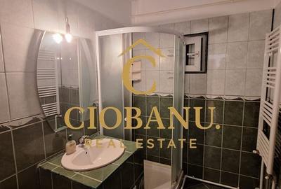 Apartament 2 camere de inchiriat zona Brazda lui Novac - 8