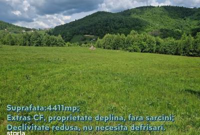 Teren de 4411 mp, în Băișoara - 2