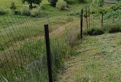 Teren Construcții intravilan de 1500 mp, în Vorovești - 3