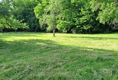 Teren de 3700 mp, în Porumbacu de Sus - 1