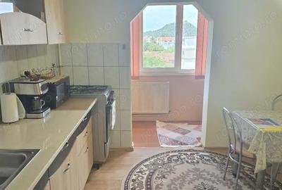 Apartament cu 2 camere decomandat în Liliacului - 12