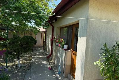 Casă cu 3 camere cu Teren 4000 Mp în Letca Nouă - 9
