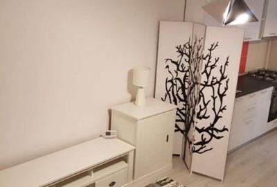 Apartament cu 2 camere decomandat, mobilat în Theodor Pallady - 5