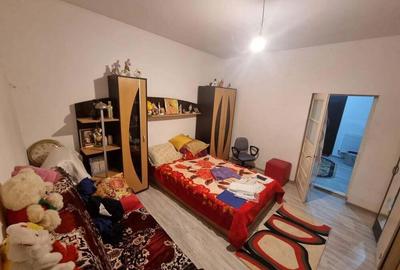 Delfinariu -casa de caramida - 3