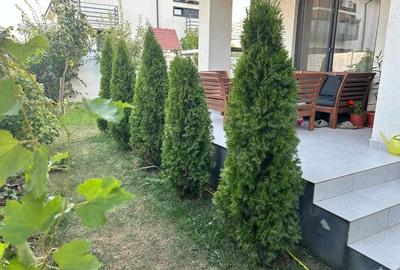 Casă cu Teren 300 Mp în Dragomirești-Deal