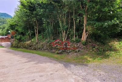 Teren Sacaramb,la20 km deDeva,jud.Hunedoara,comision0 - 10