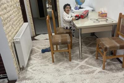 Apartament cu 2 camere decomandat în Viișoara - 1