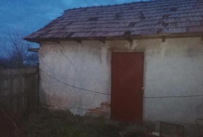 Casă cu Teren 1222 Mp în Grădinari - 2