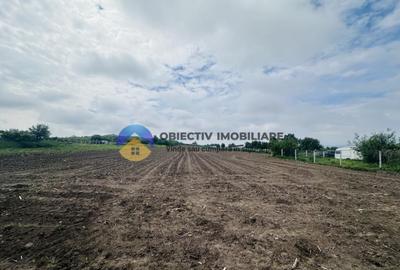 Teren- Com. Stefan cel Mare- jud. Neamt - 12