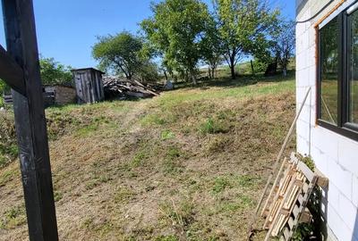 Casă cu 2 camere cu Teren 6400 Mp în Saucenița - 9