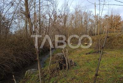 Teren intravilan 8000 mp cu anexa gospodareasca in Vistisoara - 7