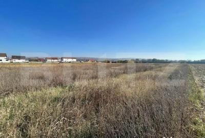 Teren de 620 mp, în Partoș - 3