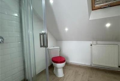 Casa individuala , situata la 5 minute de Centrul orasului! - 25