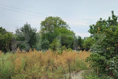 Teren extravilan 17524 mp, expunere sudica, Viforata - 2