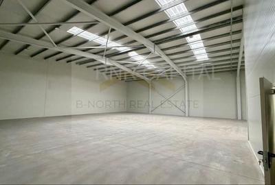 Închiriere hale noi 2025 – 1.000 mp/hala, acces TIR, Centura București – Chiajna - 4