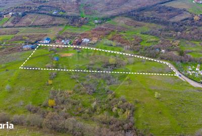 Teren de 33500 mp, în Bucov - 7