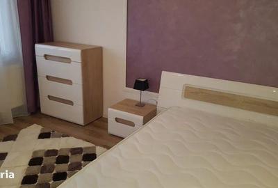 Apartament cu 2 camere semidecomandat, mobilat în Făget - 5
