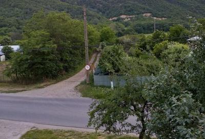 Casă cu 4 camere în Cocorăștii Caplii - 14