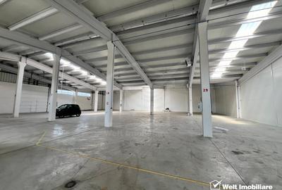 Hala 1200mp, depozitare sau productie, acces TIR zona blvd Muncii - 8