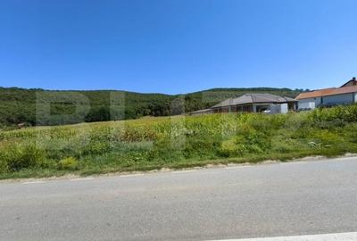 Teren intravilan, 4900 mp, zona Hapria - Ciugud - 2