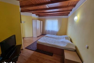 Spațiu comercial, de 454 mp, în Valea Alba - 14