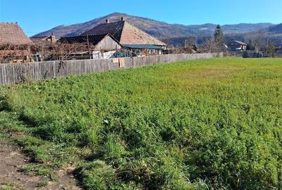 Teren intravilan de 1700 mp, în Pângărați - 4